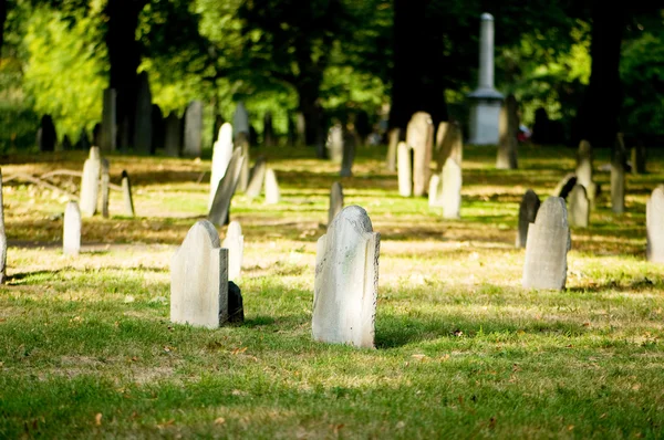 Νεκροταφείο Πολλές Επιτύμβιες Στήλες Την Φωτεινή Ημέρα — Φωτογραφία Αρχείου