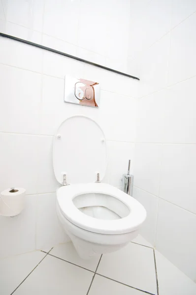 Interiören Rummet Toalett Badrummet Royaltyfria Stockbilder