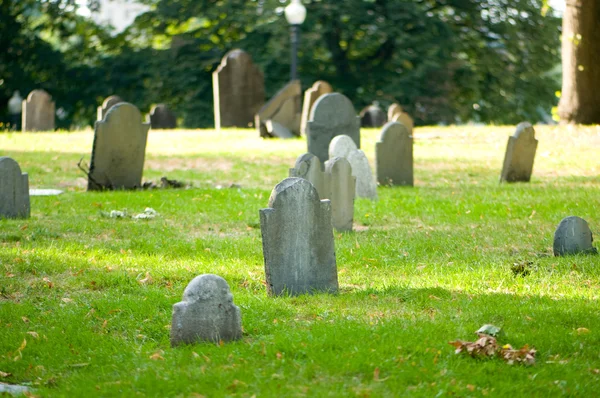 Cemitério Com Muitas Lápides Dia Brilhante — Fotografia de Stock