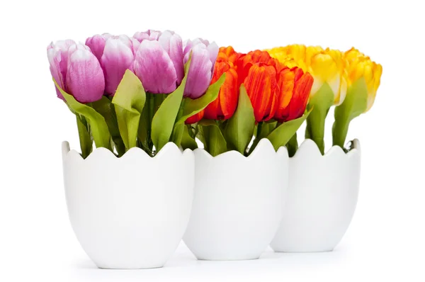 Kleurrijke Tulp Bloemen Witte Pot — Stockfoto