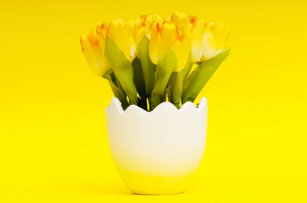 Coloridas Flores Tulipán Olla Blanca —  Fotos de Stock
