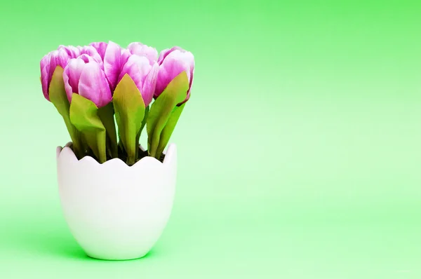 stock image Colorful tulip flowers in the white pot