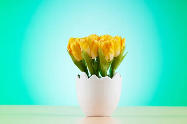 Colorful Tulip Flowers White Pot — Stock Photo, Image