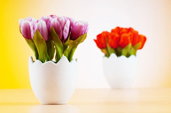Colorful Tulip Flowers White Pot — Stock Photo, Image