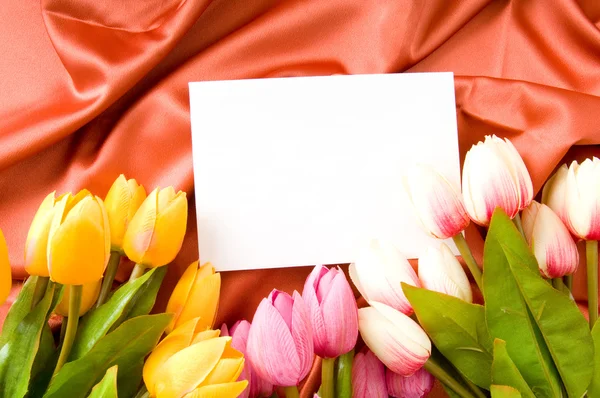 Оболочка и цветы на атласном фоне — стоковое фото
