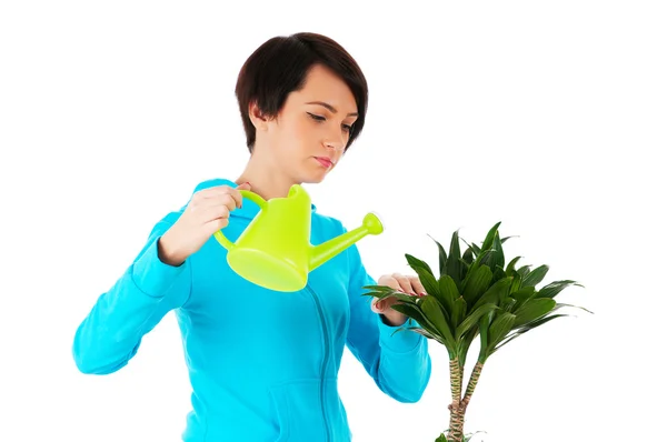 Mujer joven regando plantas aisladas en blanco — Foto de Stock