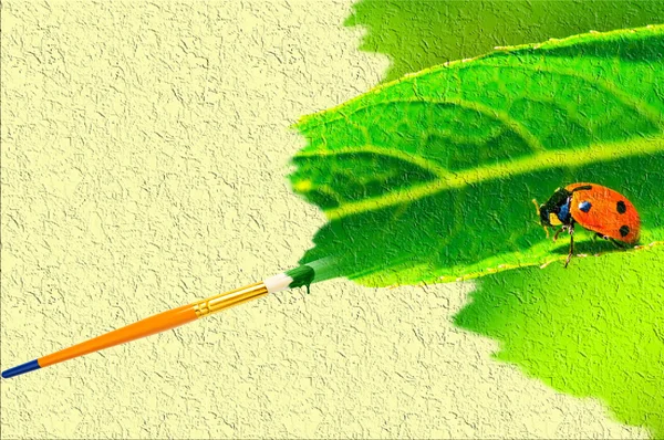 A vászon rajz katicabogár — Stock Fotó