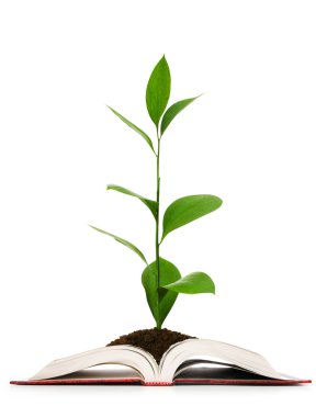 Knowledge concept - Leaves growing out of book clipart