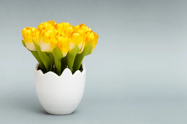 Colorful tulip flowers in the white pot — Stock Photo, Image