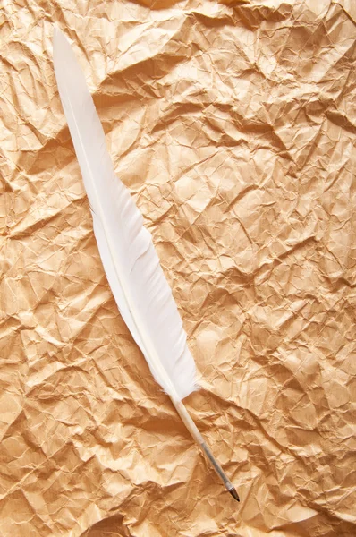 Папір і перо в старовинній концепції письма — стокове фото