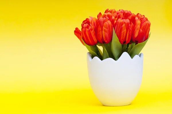 stock image Colorful tulip flowers in the white pot