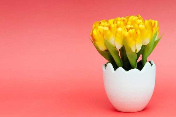 stock image Colorful tulip flowers in the white pot