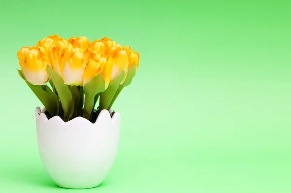 Fleurs de tulipes colorées dans le pot blanc — Photo