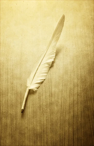 Escribir plumas en el fondo — Foto de Stock