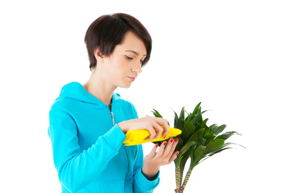 用白色隔绝的年轻女子浇灌植物 — 图库照片