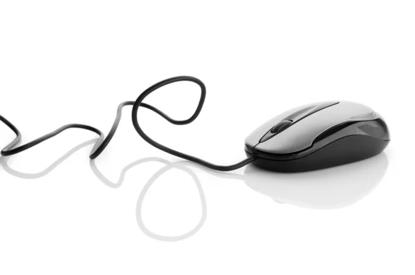 Компьютерная мышь на белом фоне — стоковое фото