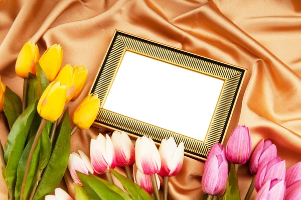 Obraz ramki i tulipany kwiaty na satyna — Zdjęcie stockowe