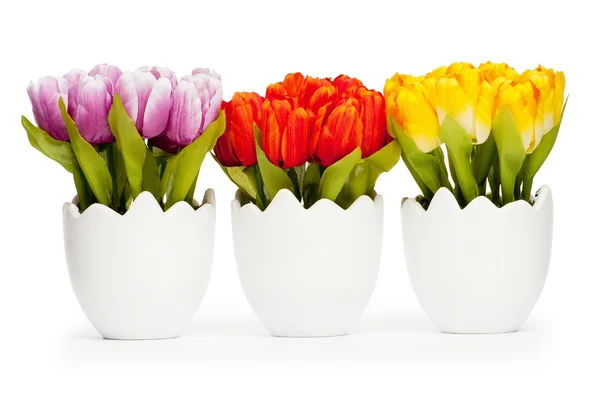 Színes tulipán virág a fehér pot — Stock Fotó