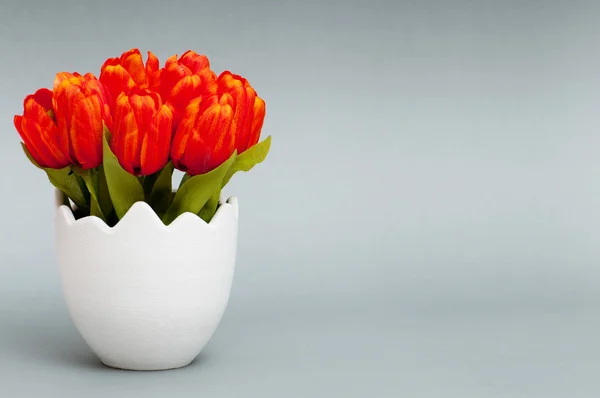 Tulipan kolorowy kwiaty w puli biały — Zdjęcie stockowe
