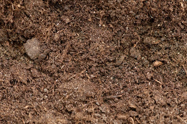 Close up of soil - can be used as background — Stock Photo, Image