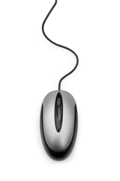 Komputer myszy izolowane na białym tle — Zdjęcie stockowe