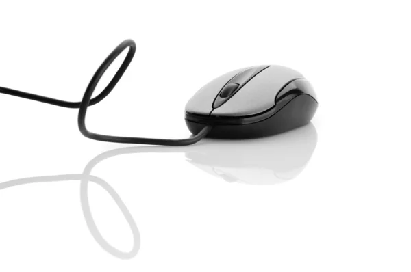 Počítačová myš izolovaná na bílém pozadí — Stock fotografie