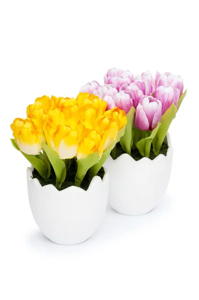 Barevný Tulipán květy v bílé pot — Stock fotografie