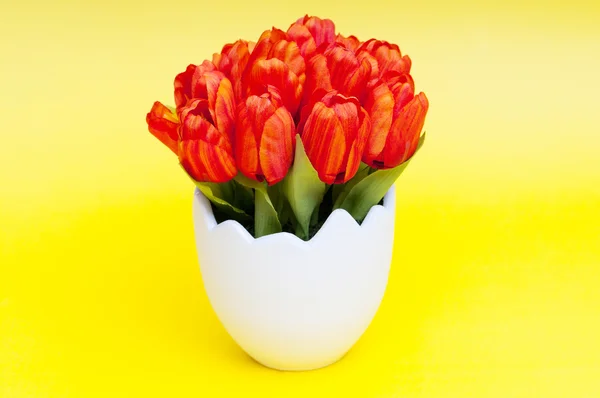 stock image Colorful tulip flowers in the white pot