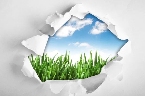 Gras en hemel door gat in papier — Stockfoto