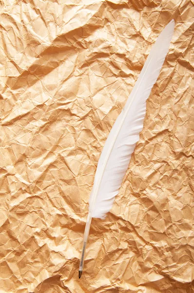 Paper and feather in vintage writing concept — Stock Photo, Image