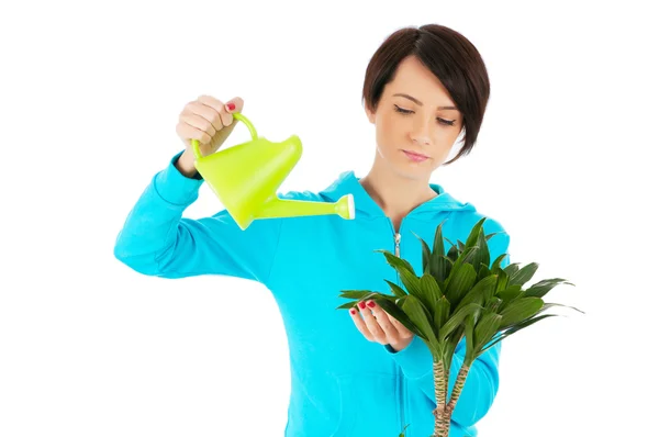 Młoda kobieta podlewa rośliny odizolowane na białym — Zdjęcie stockowe