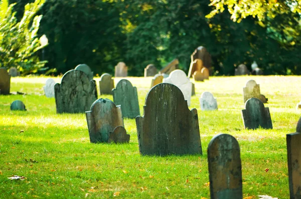 Цвинтар з багатьма надгробками в яскравий день — стокове фото