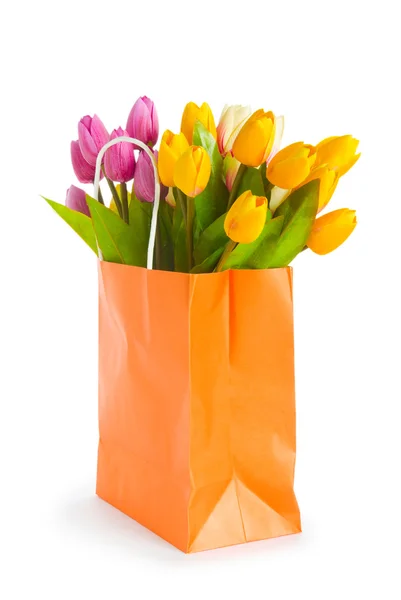 Tulipanes en bolsa aislada en blanco —  Fotos de Stock