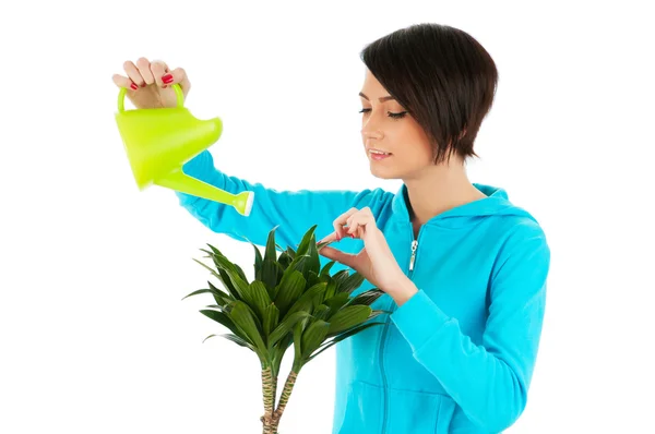 Mujer joven regando plantas aisladas en blanco —  Fotos de Stock