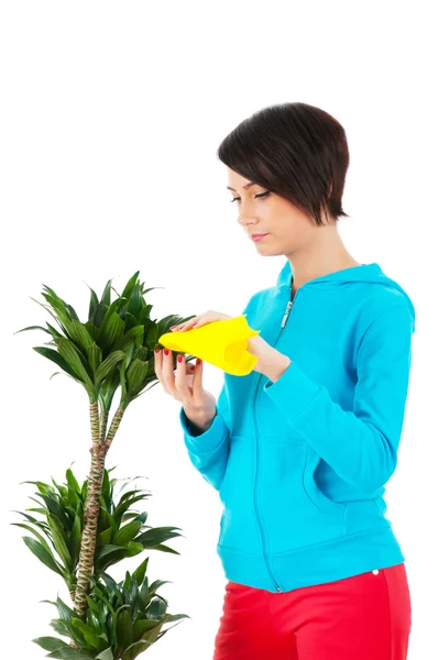 Jovem mulher regando plantas isoladas em branco — Fotografia de Stock