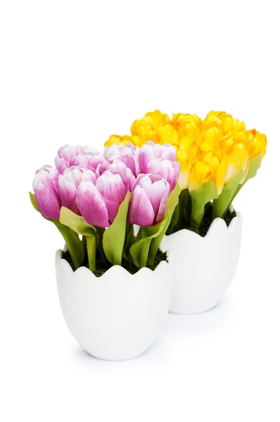 흰색 냄비에 다채로운 튤립 꽃 — 스톡 사진