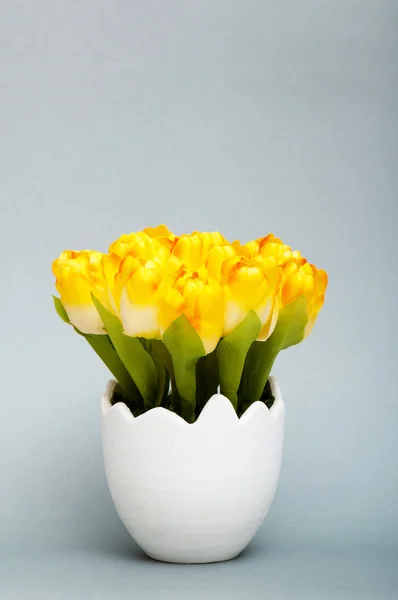 Renkli Lale çiçek beyaz pota — Stok fotoğraf