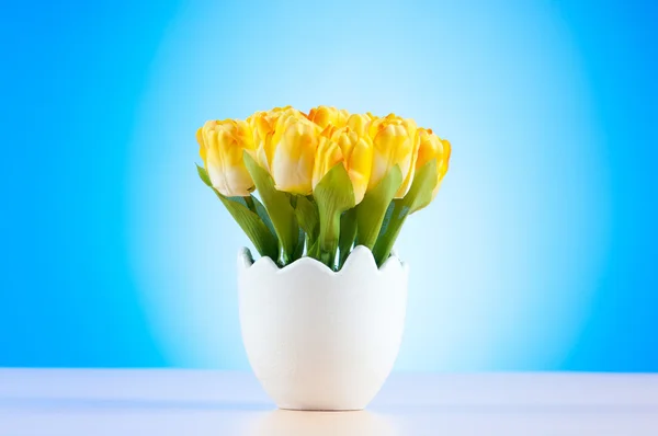 stock image Colorful tulip flowers in the white pot