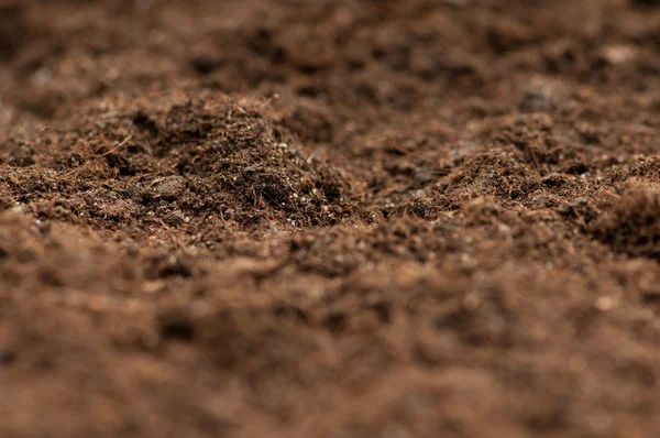 土壌のクローズ アップ - の背景として使用することができます。 — ストック写真