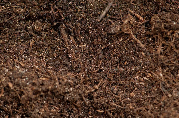 Close up of soil - can be used as background — Stock Photo, Image