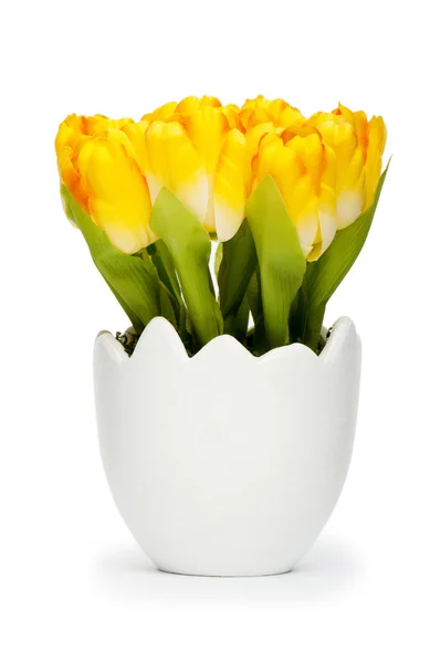 Barevný Tulipán květy v bílé pot — Stock fotografie