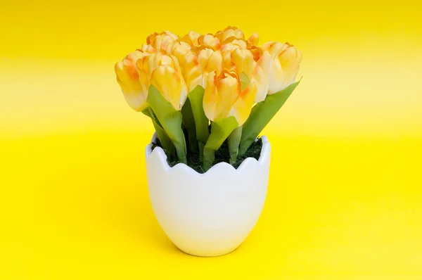 stock image Colorful tulip flowers in the white pot