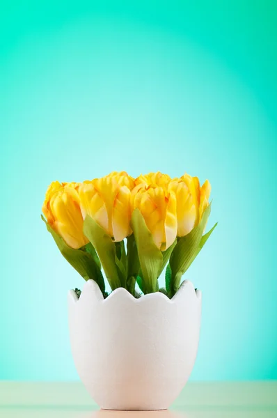 Kleurrijke tulp bloemen in de witte pot — Stockfoto