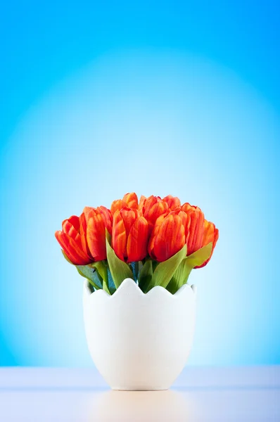 stock image Colorful tulip flowers in the white pot