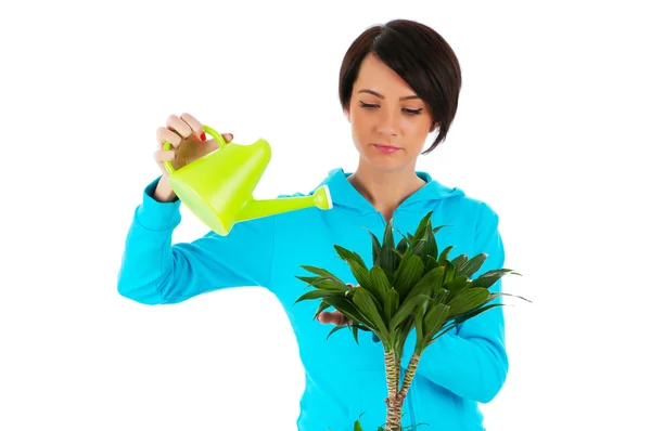 Jovem mulher regando plantas isoladas em branco — Fotografia de Stock