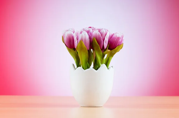 Kleurrijke tulp bloemen in de witte pot — Stockfoto