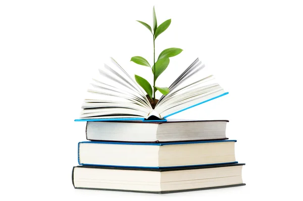 Kennis concept - bladeren groeien uit boek — Stockfoto