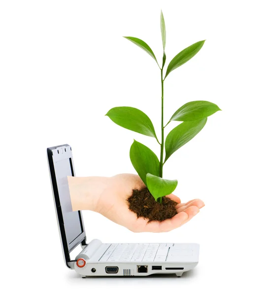 stock image Hand with green leaves out of netbook screen