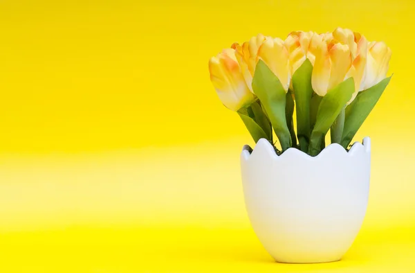 Renkli Lale çiçek beyaz pota — Stok fotoğraf