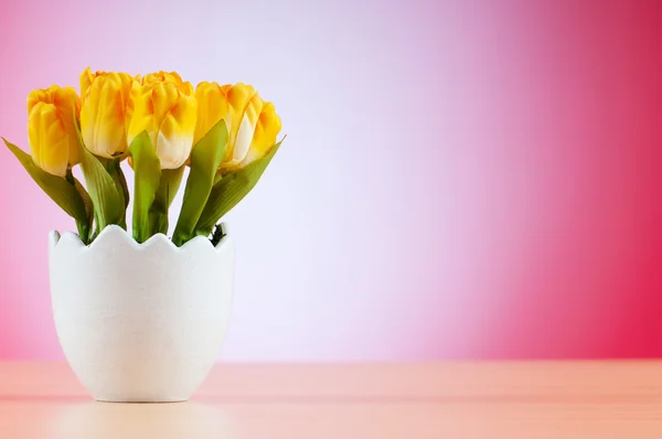 stock image Colorful tulip flowers in the white pot